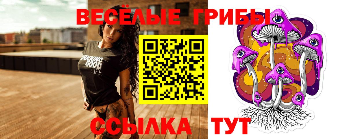 Псилоцибиновые грибы ЛСД  Вход с VPN  Тамбов 
